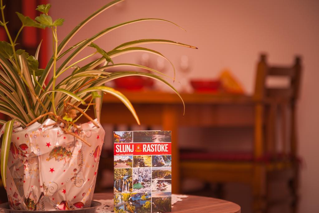 Apartment Zalac Slunj Eksteriør billede